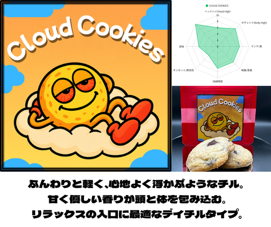 CLOUD Cookies 2枚｜KO ONLINE