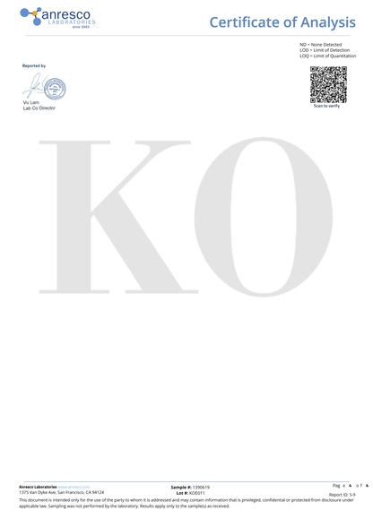 VOLCANO COOKIE｜KO ONLINE（7枚目）