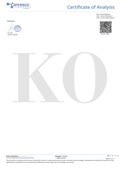 CLOUD Cookies 2枚｜KO ONLINE（7枚目）