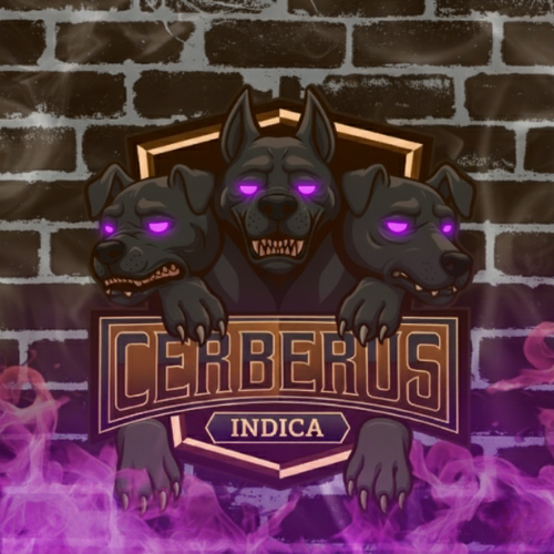 CERBERUS INDICA -HHBD×H4CBH×CRDPインディカリキッド- 1mL 1mL （HHBD / CRDP / H4CBH / H4CBD / CBD / CBG）｜KO ONLINE（2枚目）